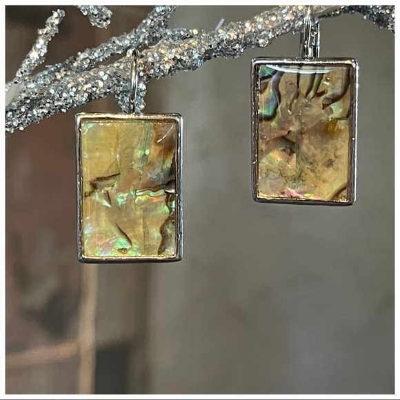 Handmade Abalone Shell Earrings - Picture 1 of 5